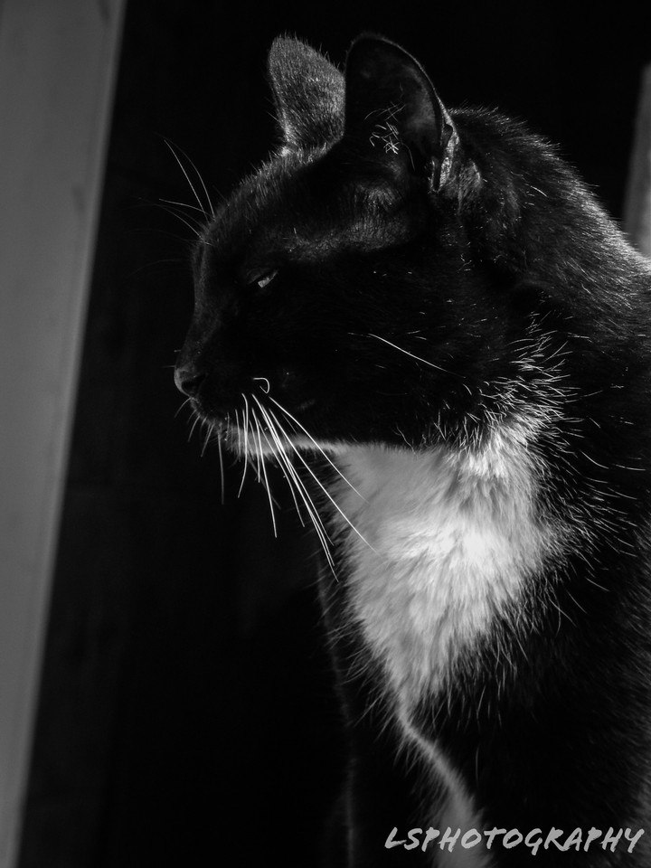 black