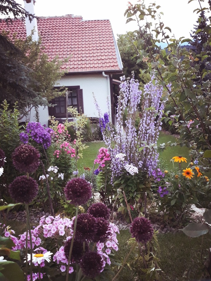 doğa
