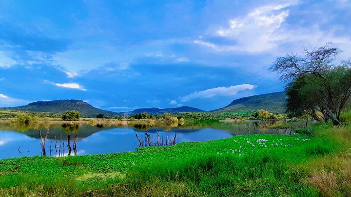 laguna