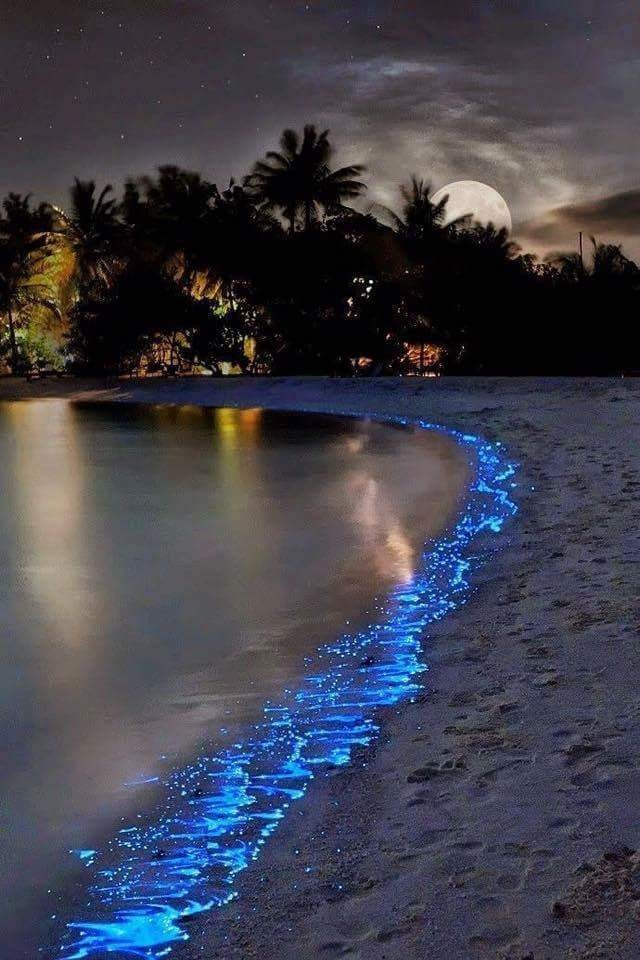beautiful sea and sky