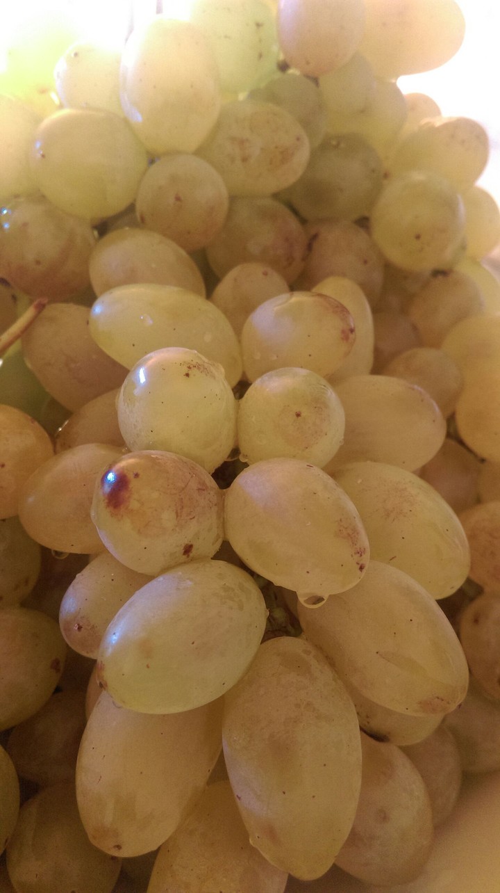 fruit
