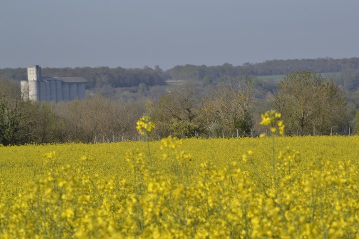 paysage