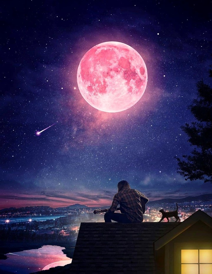 Magic Night