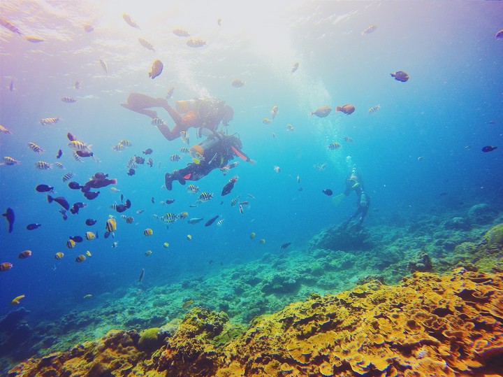 sea