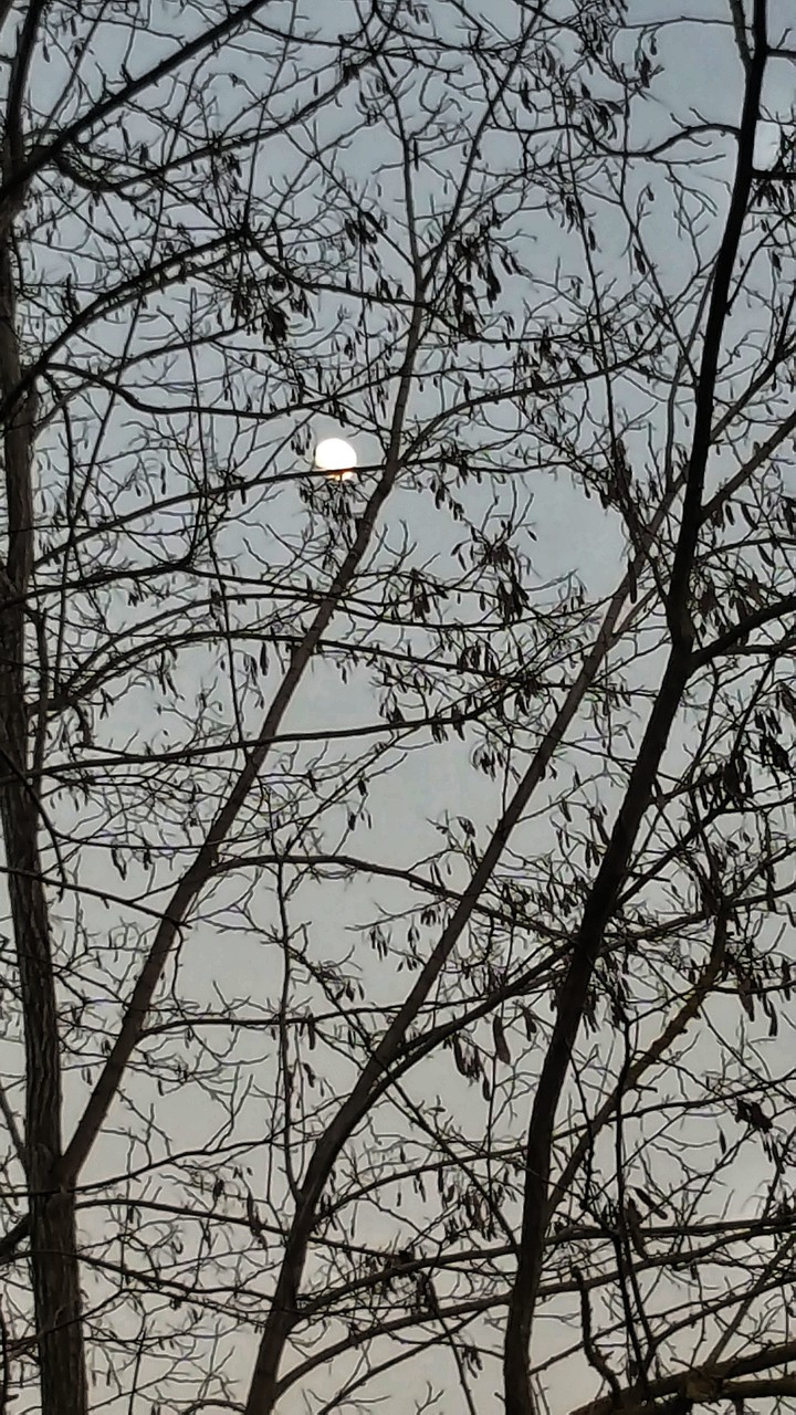 #moon