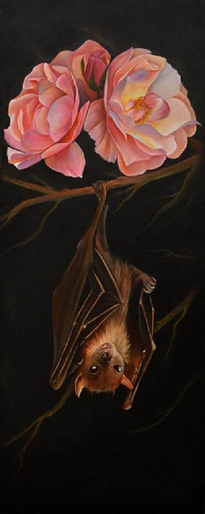 Bat