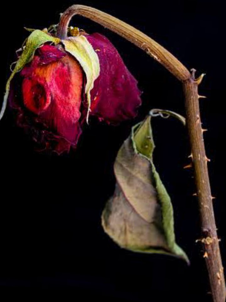 VERY BEAUTFUL LOVE