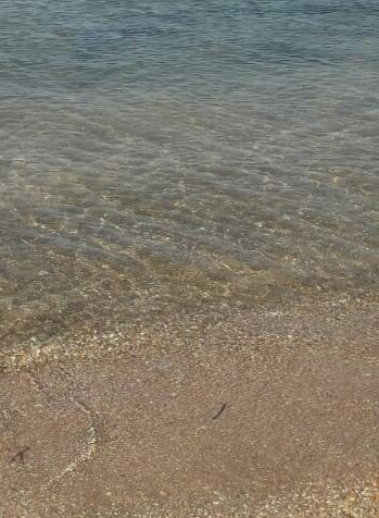 природний дар:вода