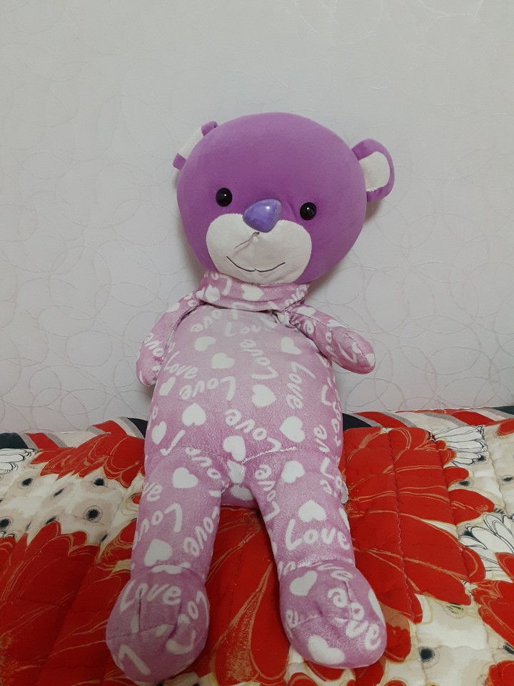 bear