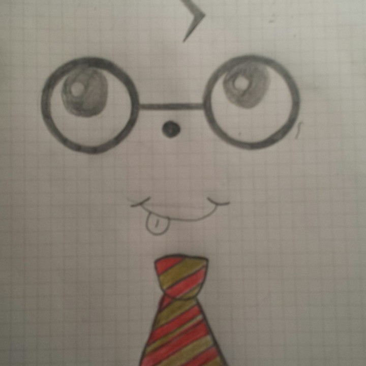 Potter merch