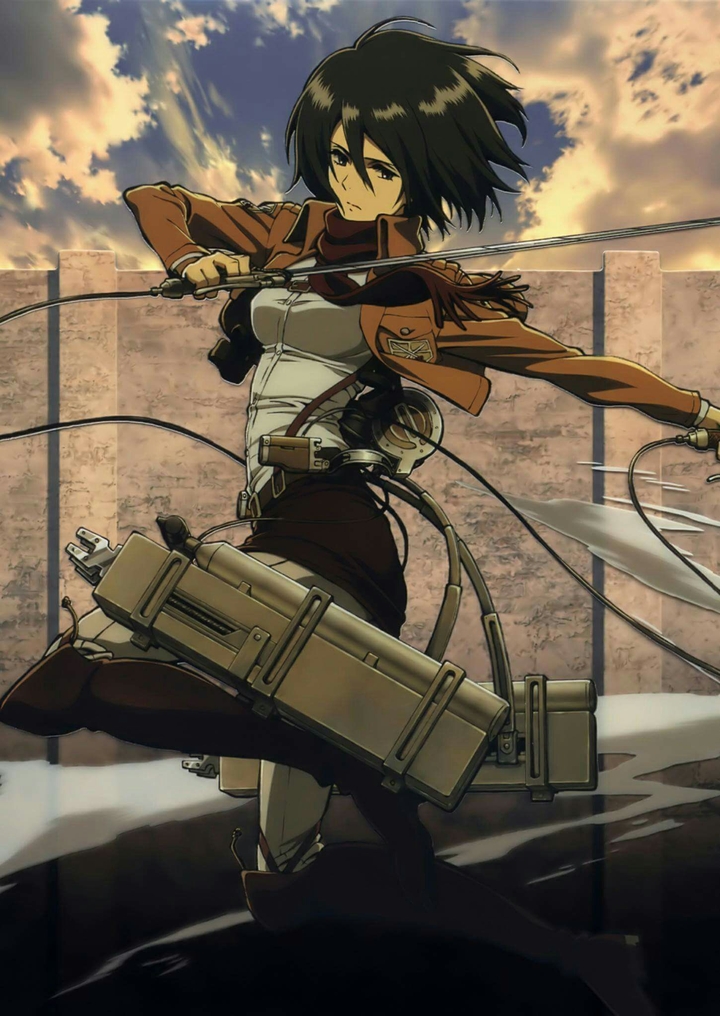 mikasa