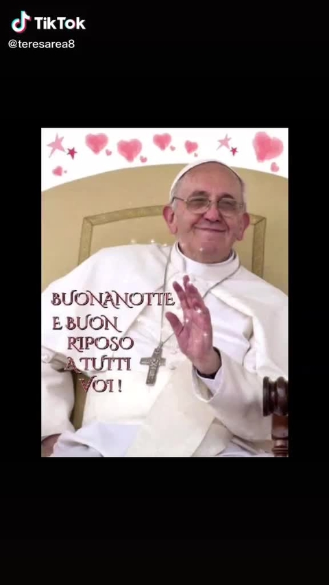 cardinal, blessing壁纸
