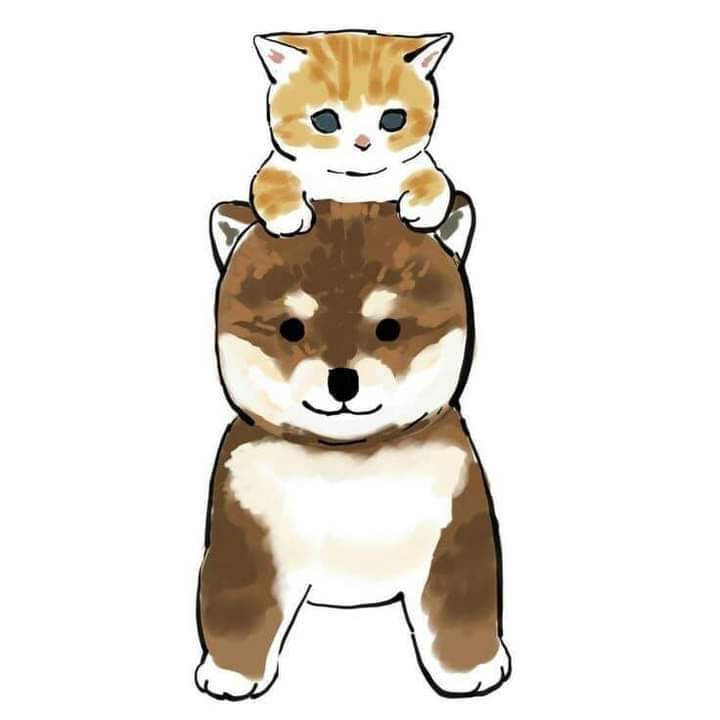 Animal