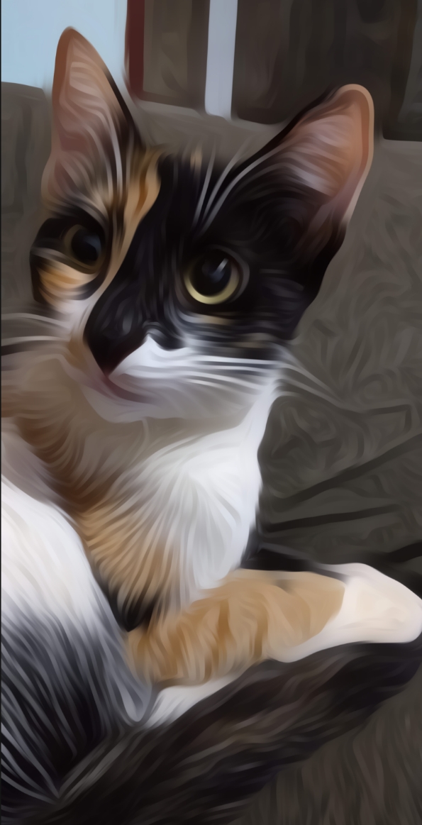 Gato