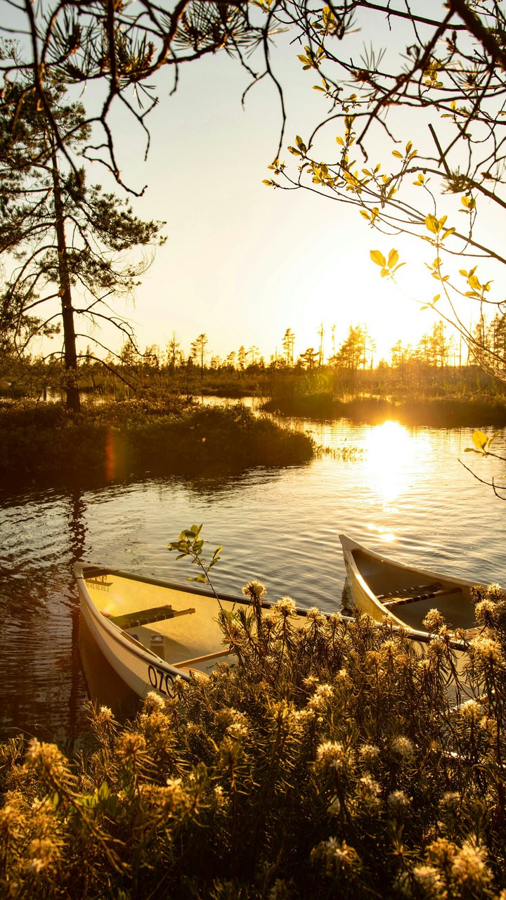 nature