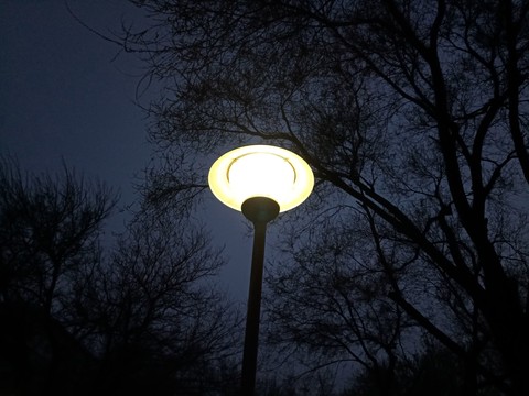 Light in the dark