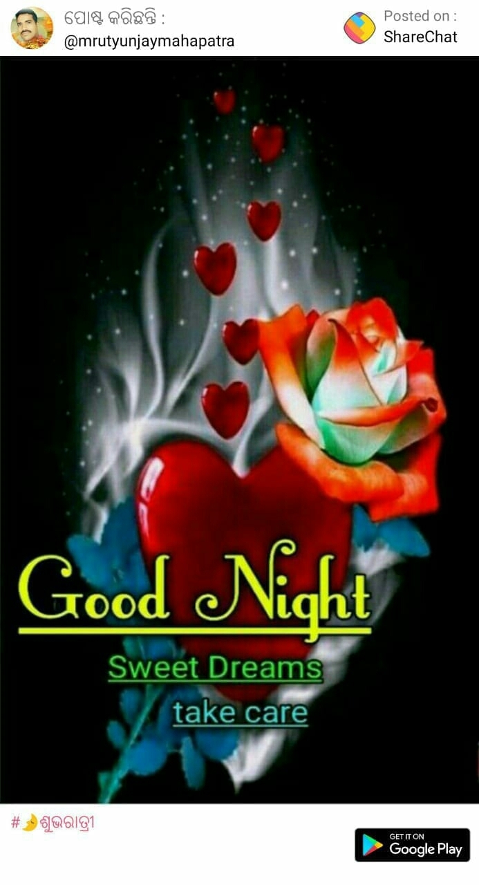 good night