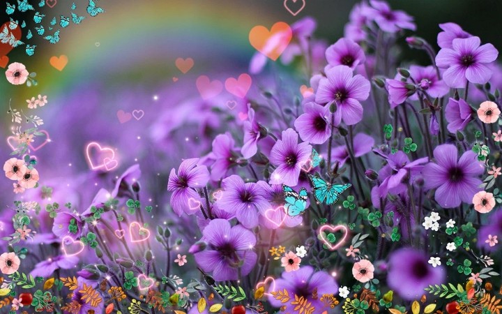 Purple hearts