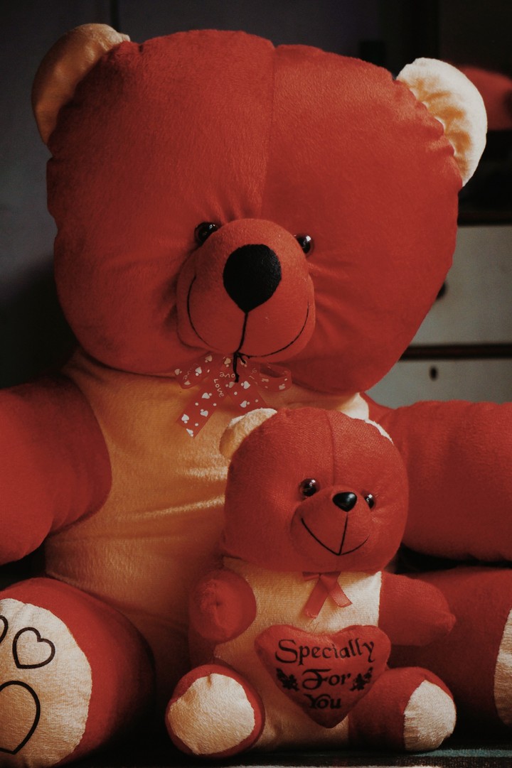 Teddy bear