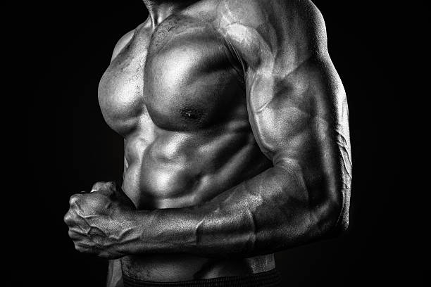 muscles