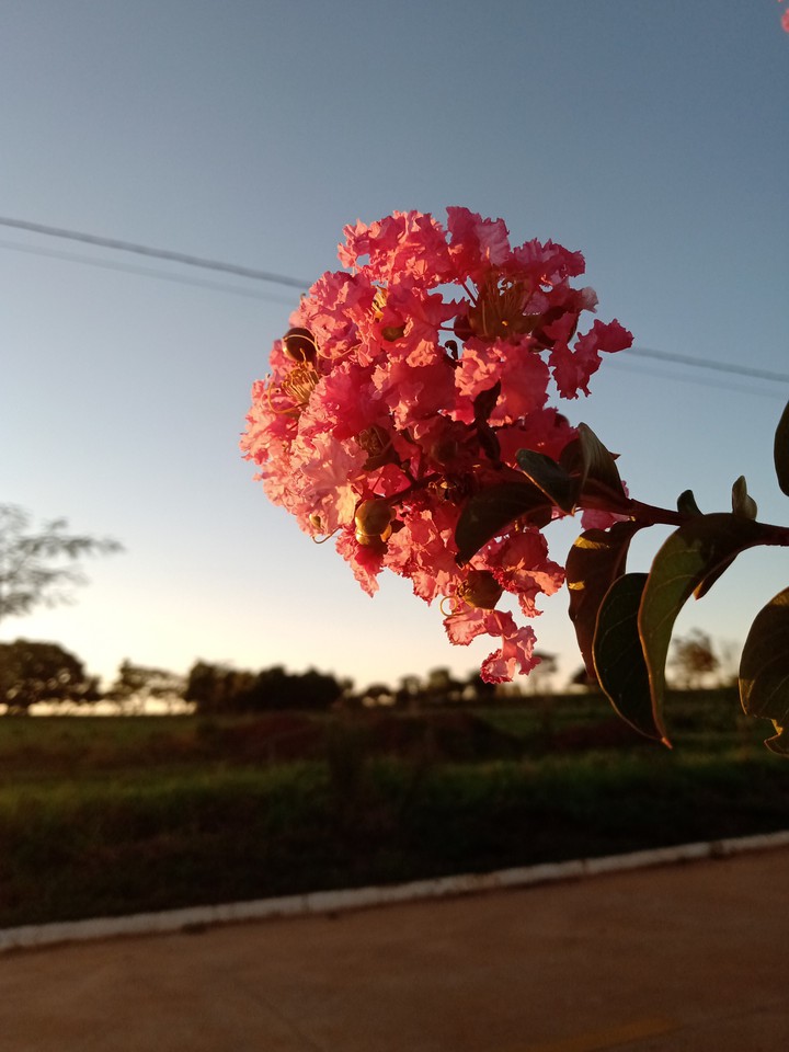 Se eu gosto de fotografar? Eu amo!