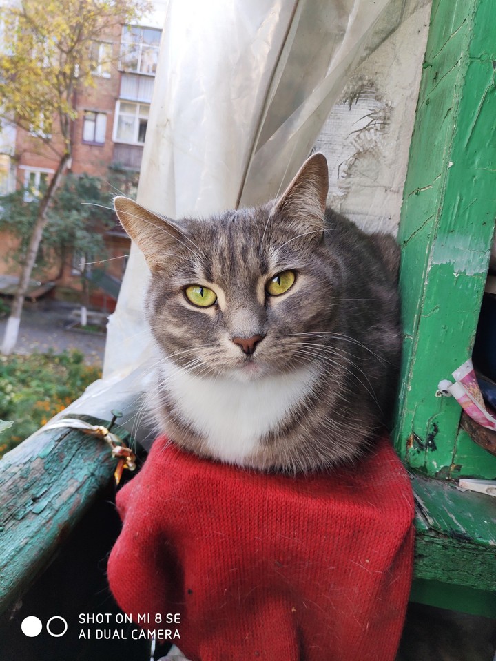 погляд
