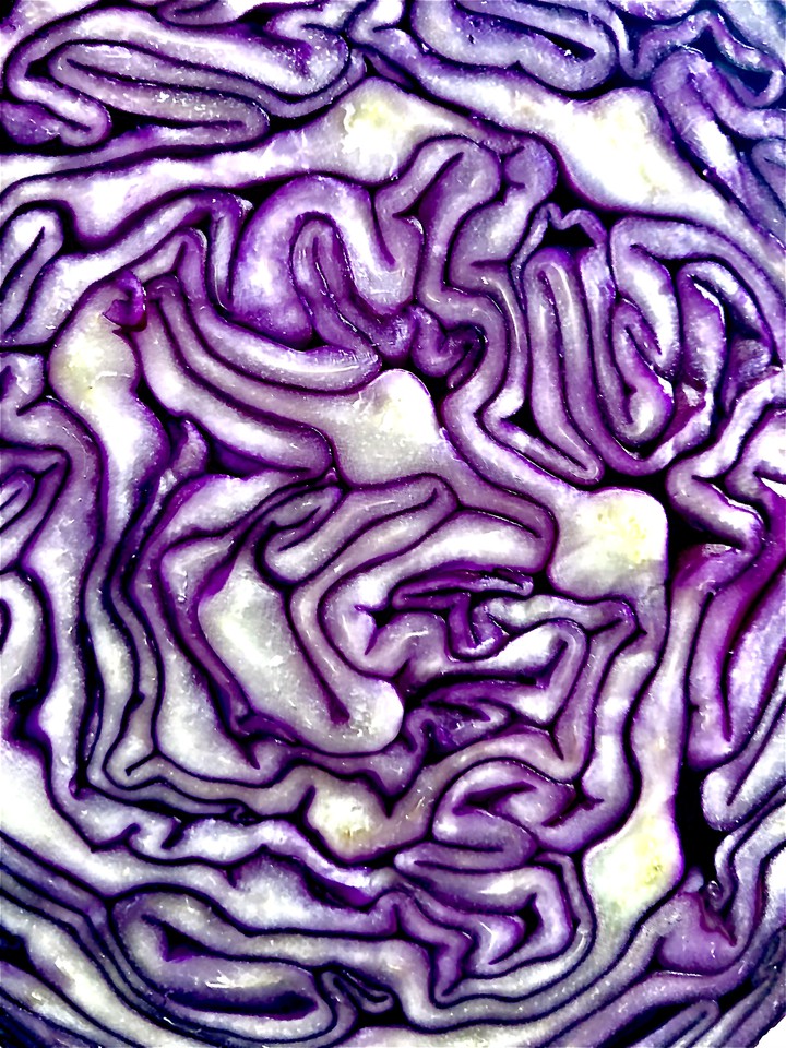 Rotkohl