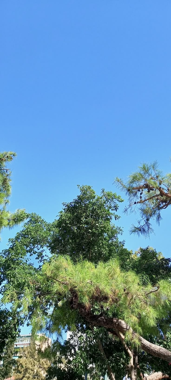 Crystal clear day! (07/10/26)