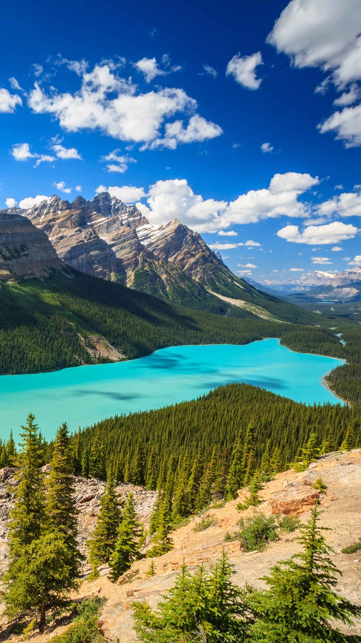 Mountains