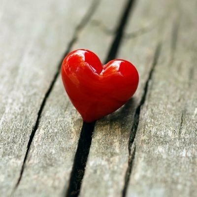 heart