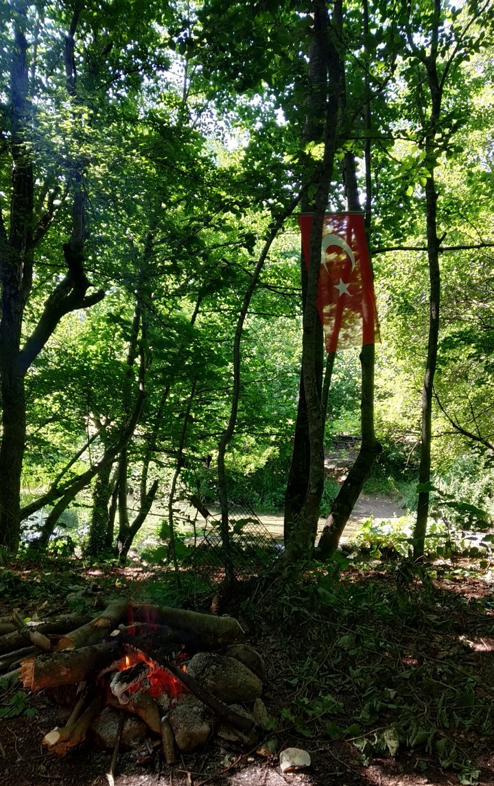 camp