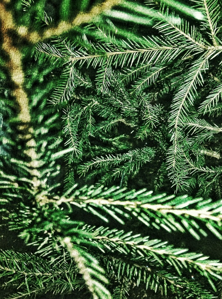 Christmas tree