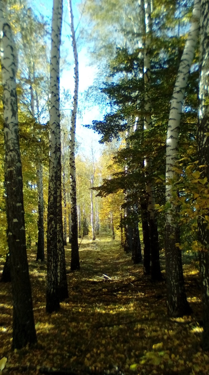 осінь