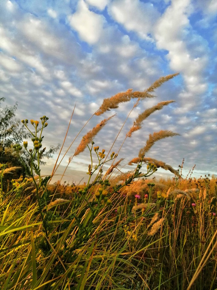 clouds