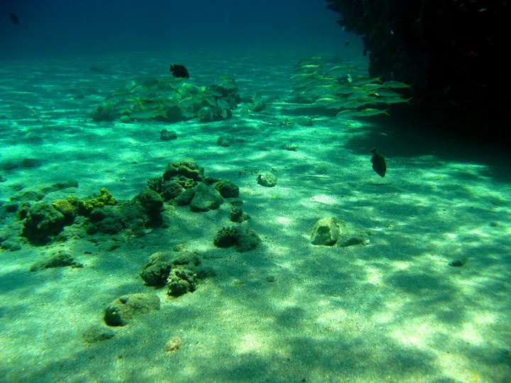 bottoms of sea