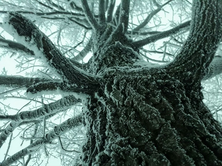 winter