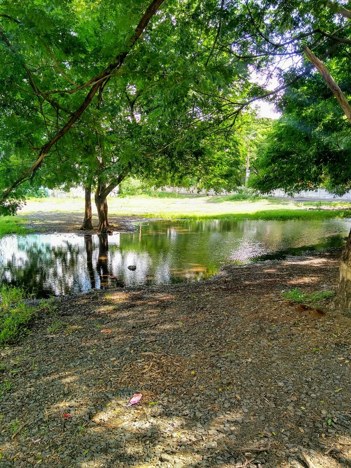 green all over