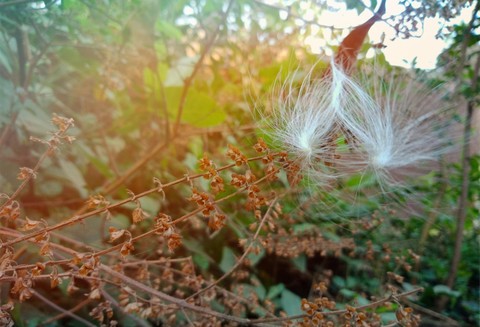 If you truly love Nature, you will find beauty everywhere