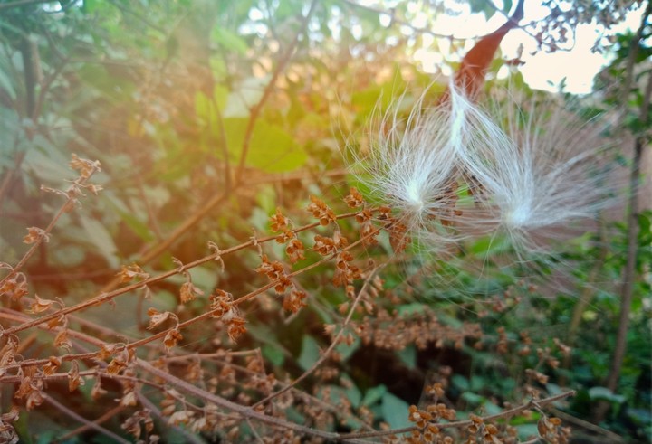 If you truly love Nature, you will find beauty everywhere