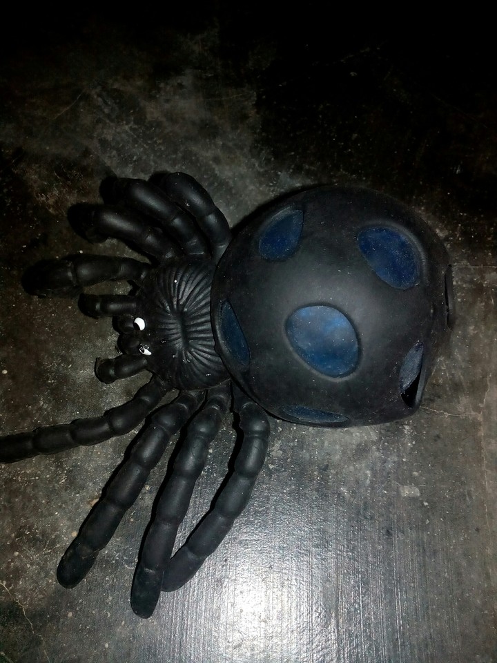 Spider.....Not Real