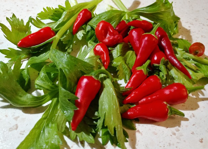 pepper