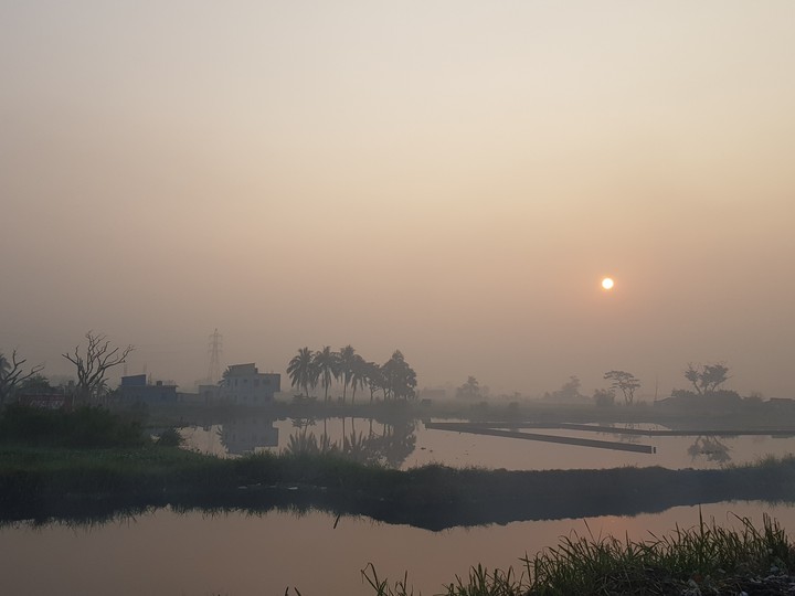 nature