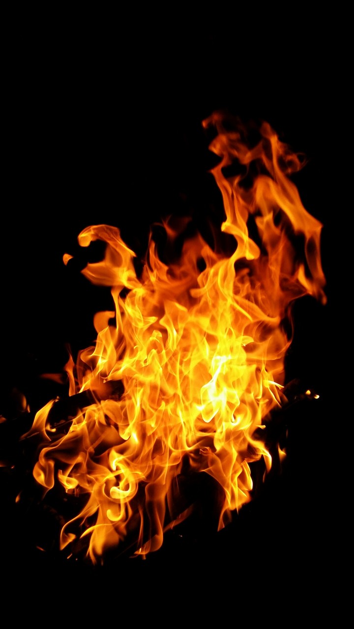 eeee