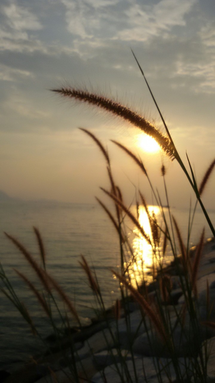 Sun...