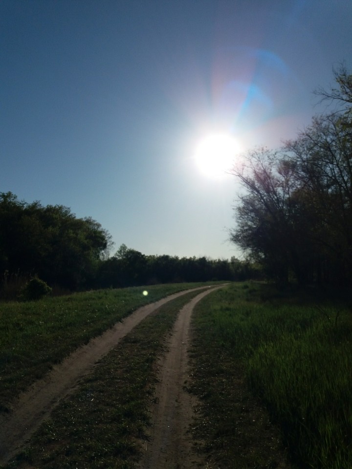 Солнце