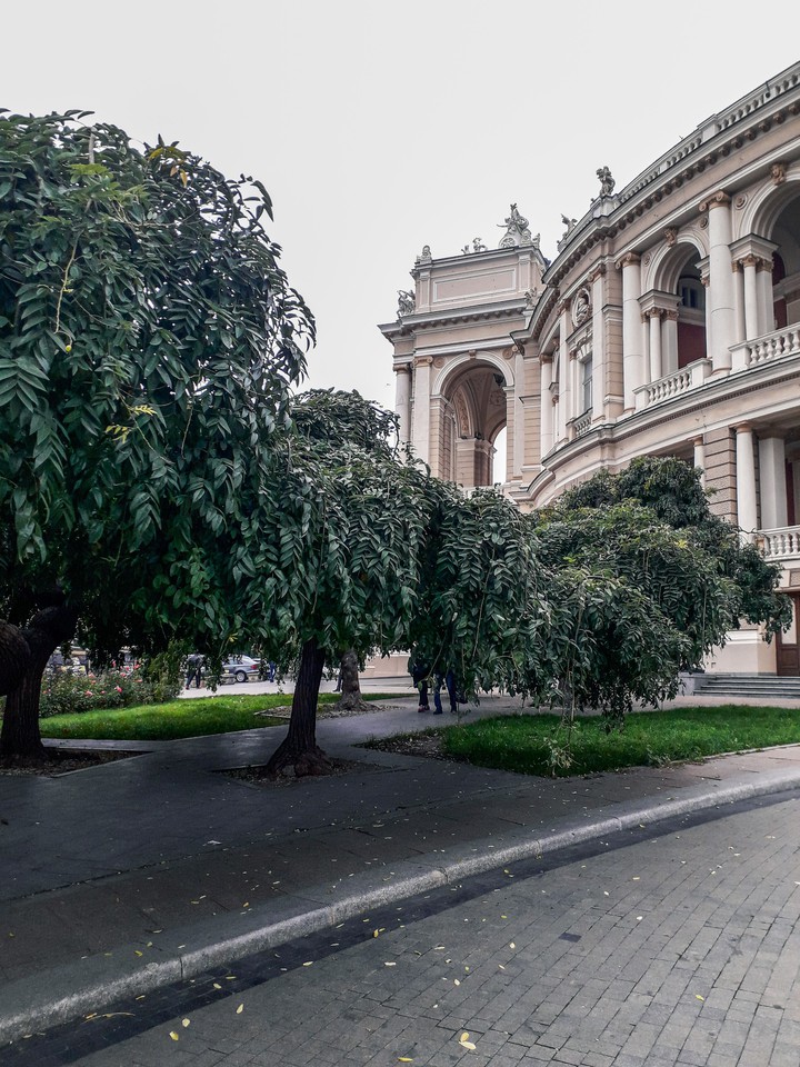 Odessa.