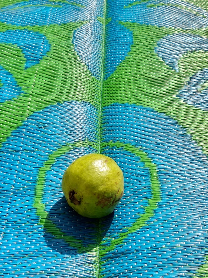 mixed beauty of fruit and potrait