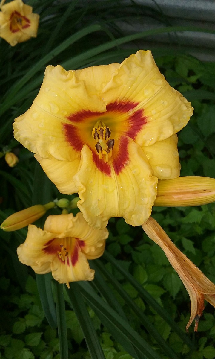 Sad to see summer beauty go until next year!