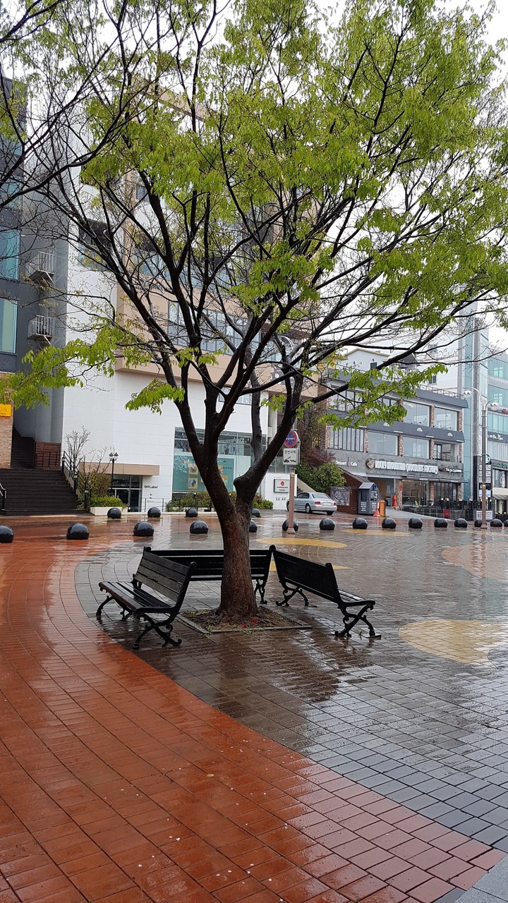 봄