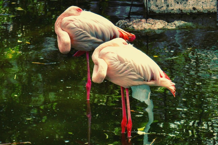 bird sanctuary..!!
